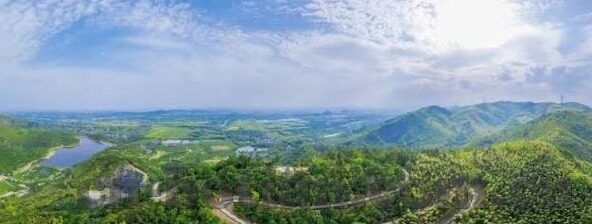 彩客足球足球比分-彩客足球足球比分，球迷与彩民的数据宝库